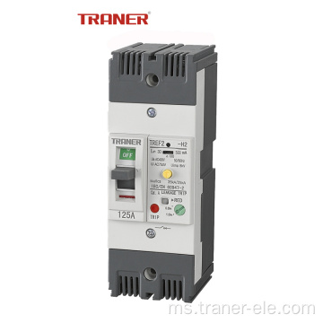 125A 2 tiang Thermal Adjustable pasaran Korea ELCB